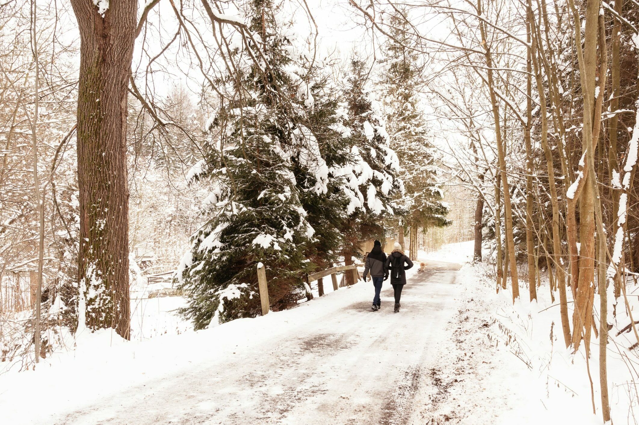 Zwei Leute laufen durch den Schnee