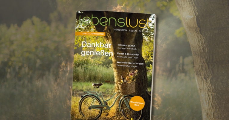 lebenslust cover