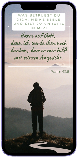 Smartphone mit Statusbild