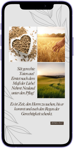Smartphone mit Statusbild