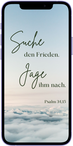 Smartphone mit Statusbild