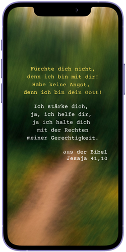 Smartphone mit Statusbild
